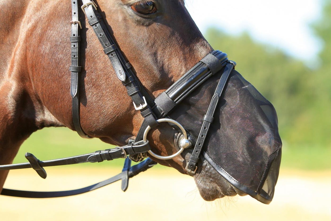 Pollenallergie bij paarden