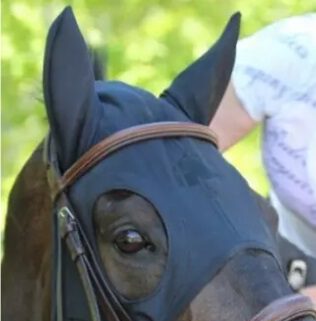 Oor gerelateerd headshaken