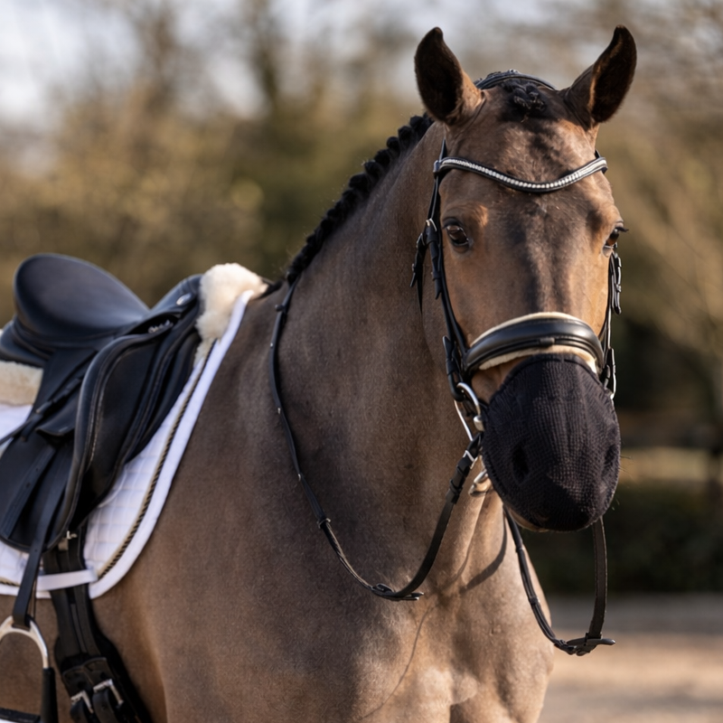 388a96d5-7b1c-40b4-b763-24a6af18f686