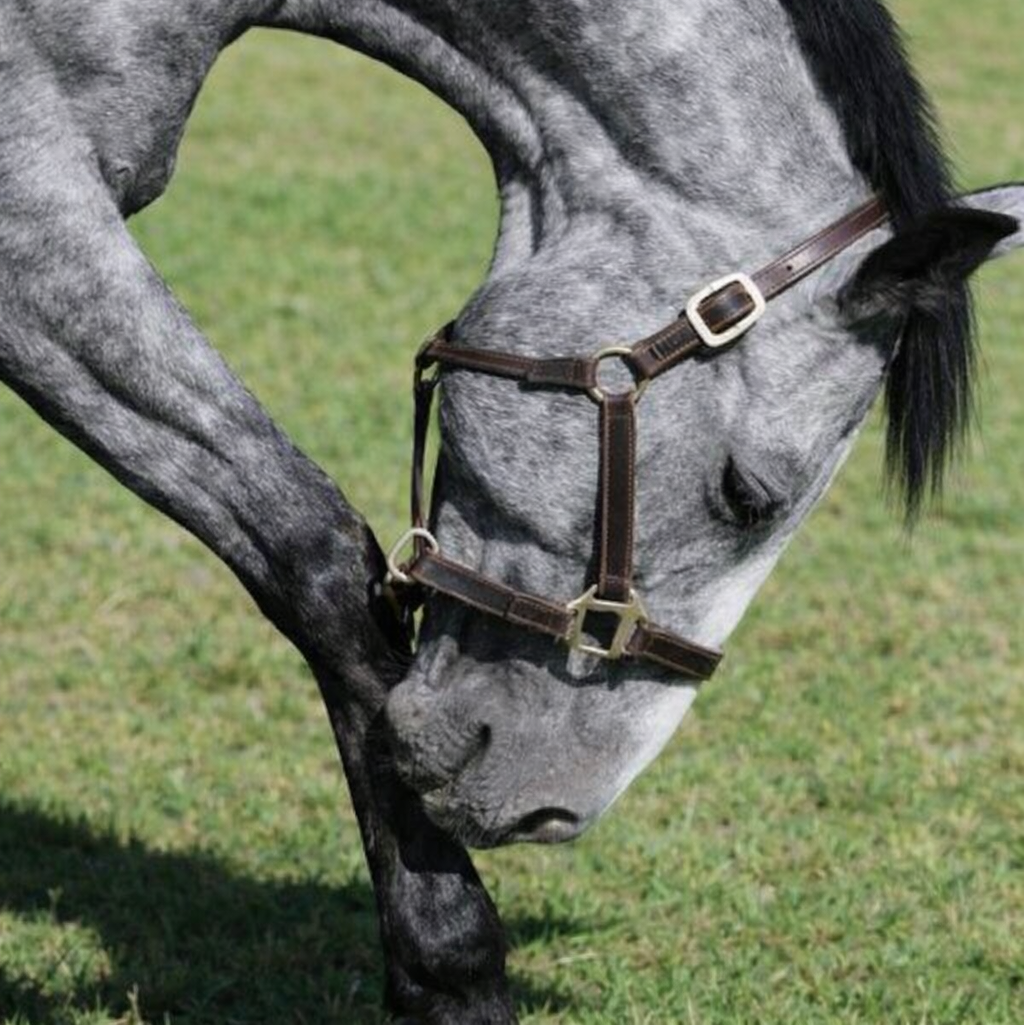 4260e24e-3148-4f29-b793-5e7413a56773